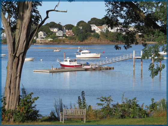 Various small boats anchored and at the dock of small bay with homes in the background for the September 2017 newsletter.